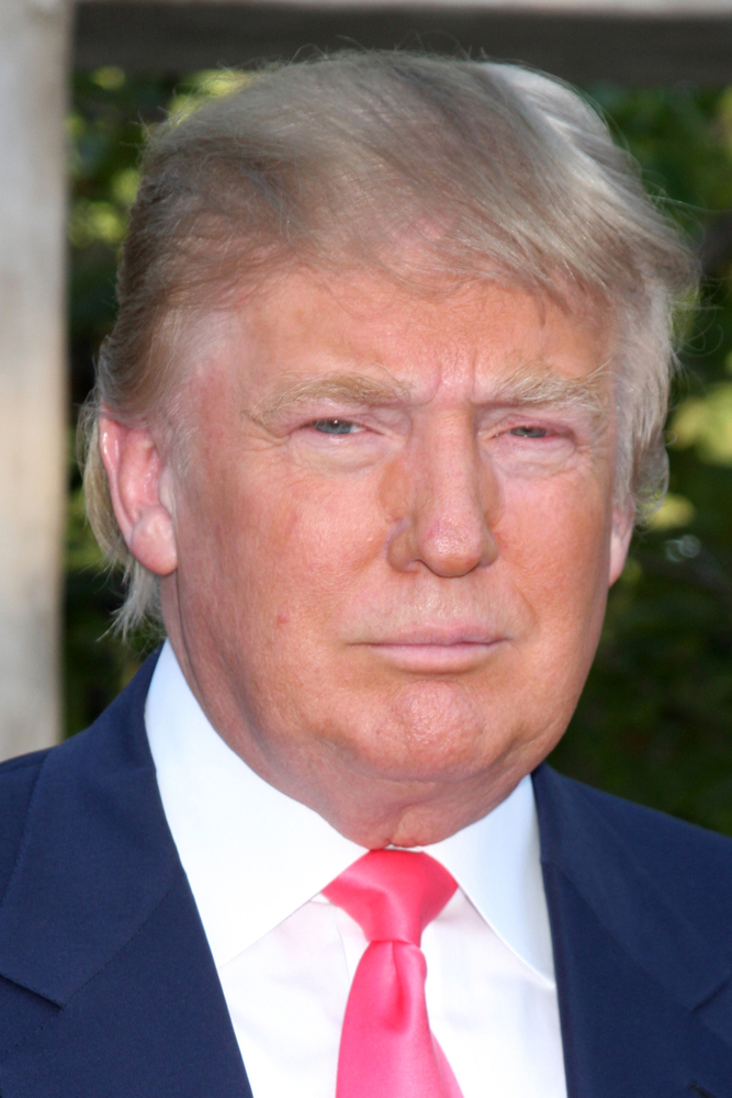 donald trump without toupee. Donald Trump: The Donald#39;s #39;do